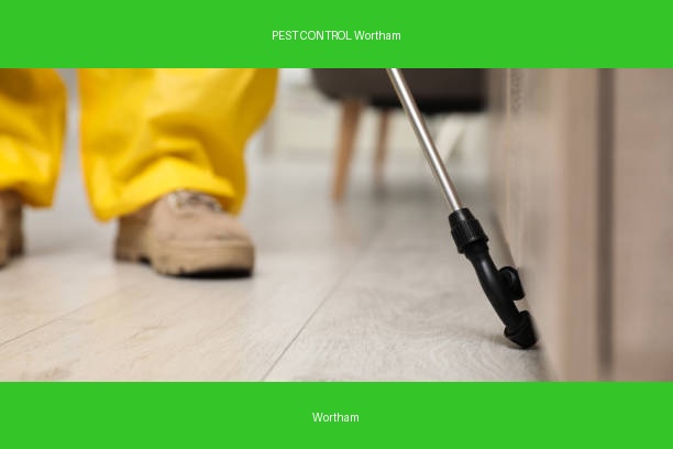 PEST CONTROL Wortham